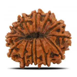9 mukhi